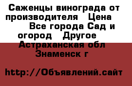 Саженцы винограда от производителя › Цена ­ 800 - Все города Сад и огород » Другое   . Астраханская обл.,Знаменск г.